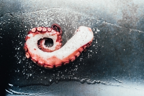 der-italiener-in-stuttgart-restaurant-nannina